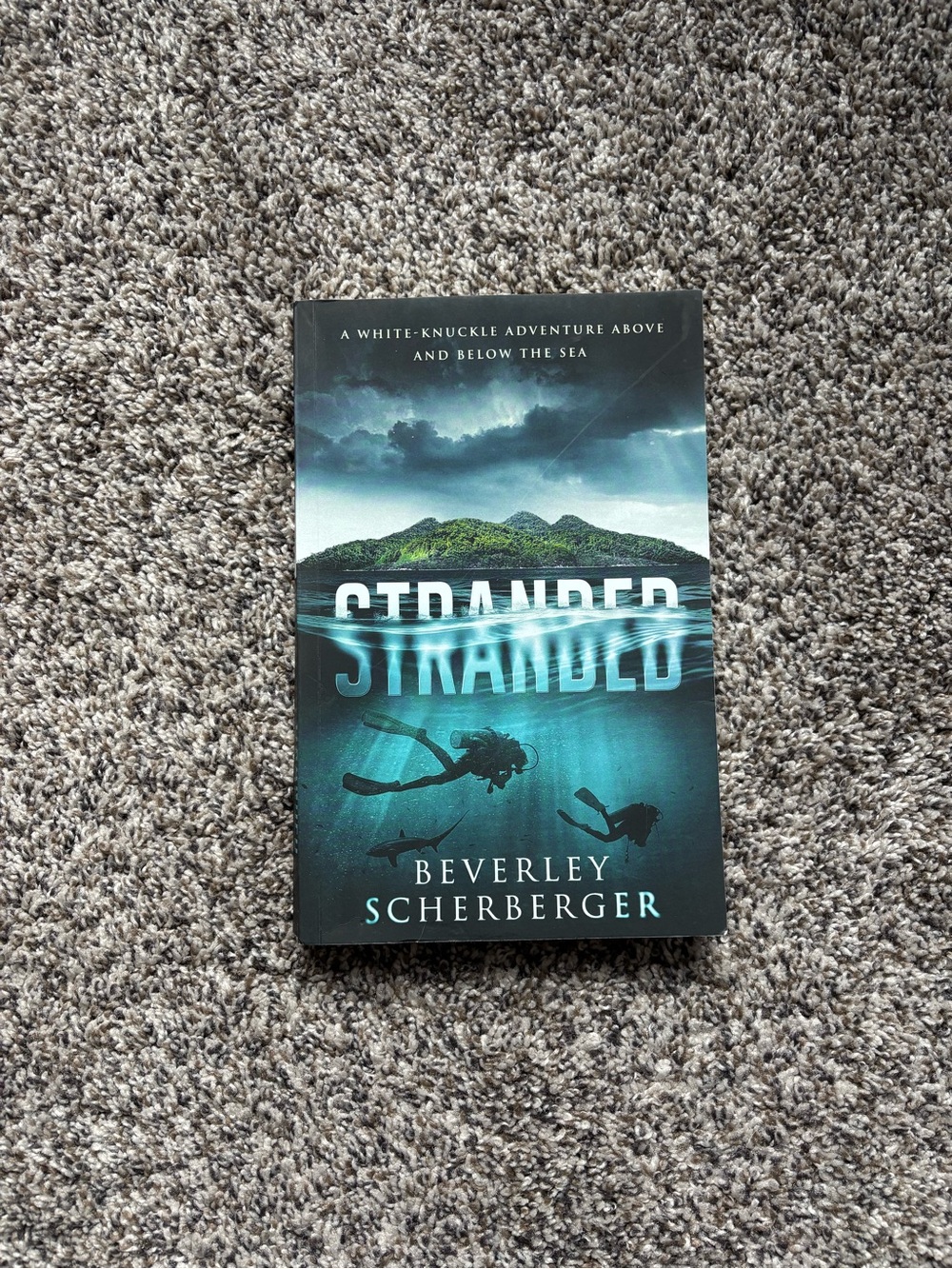 Stranded by Beverley Scherberger - Paperback